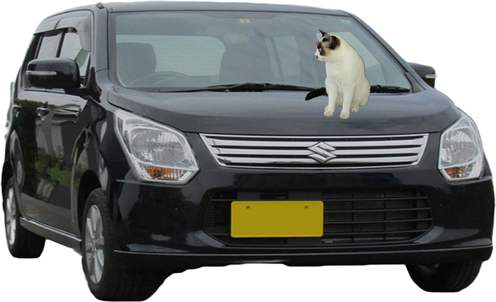 軽自動車のナンバー紛失・破損等による変更